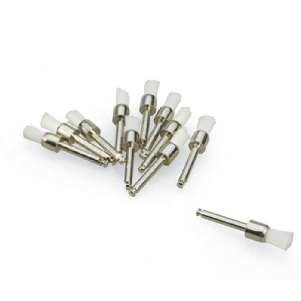 Prophy Cup-Prophy Brush Prophy Cup-Prophy Brush