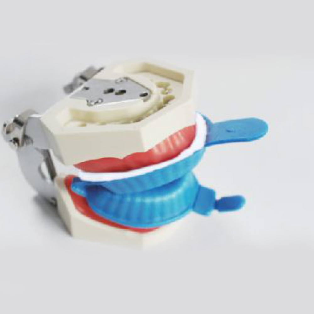Disposable Fluoride Foam Trays Disposable Fluoride Foam Trays