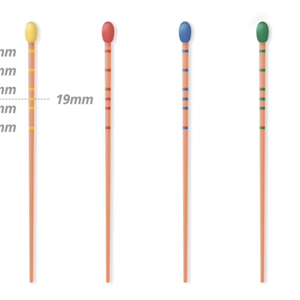 Gutta Percha Points Gutta Percha Points