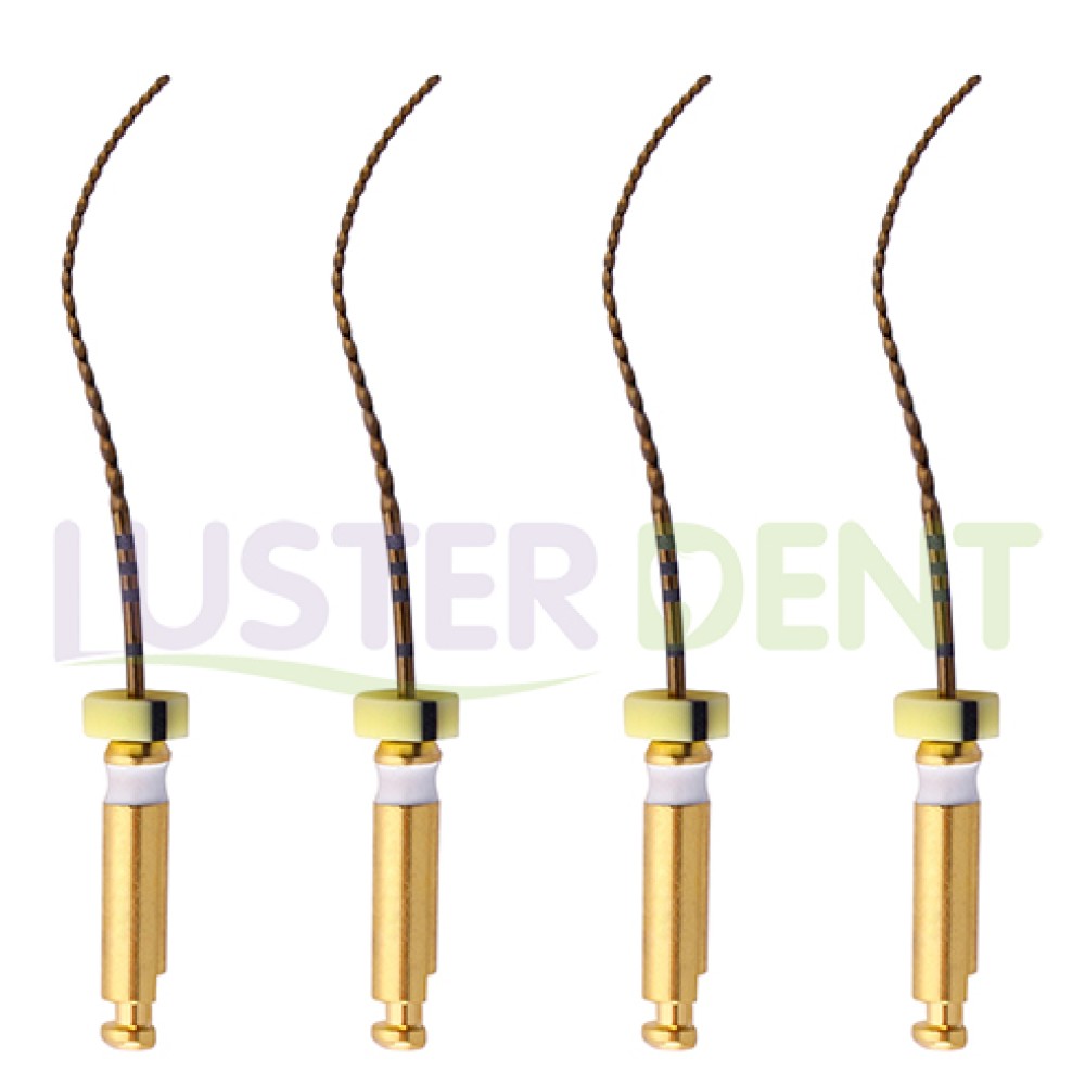 Endodontic Pliancy PH-Files