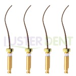 Endodontic Pliancy PH-Files